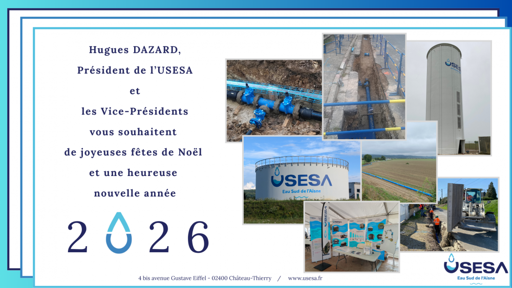 <strong></strong> <small>© USESA</small>