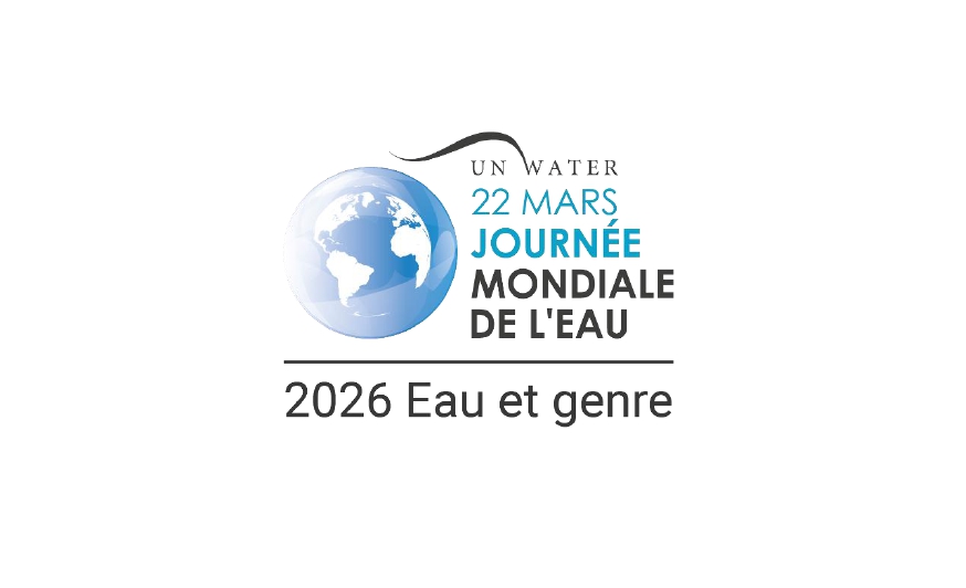 <strong></strong> <small>© USESA</small>